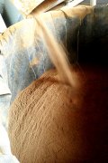 污泥槳葉干化機用戶現(xiàn)場