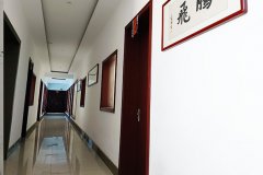 公司風貌--辦公樓