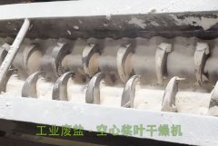 工業(yè)廢鹽 - 空心槳葉干燥機